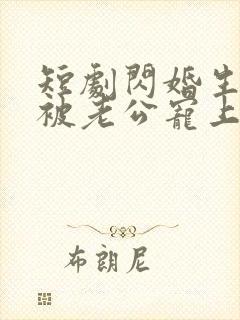 短剧闪婚生子后被老公宠上天