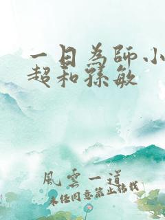 一日为师小说李超和孙敏