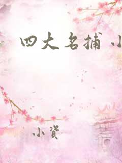 四大名捕 小说