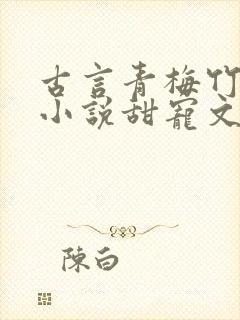 古言青梅竹马的小说甜宠文