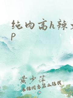 纯肉高h辣文np