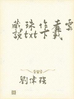 藏珠作者云芨小说txt下载