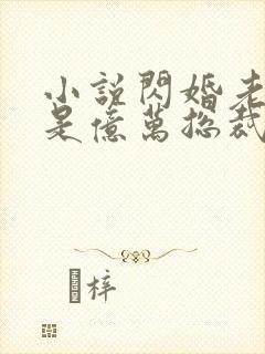 小说闪婚老公竟是亿万总裁