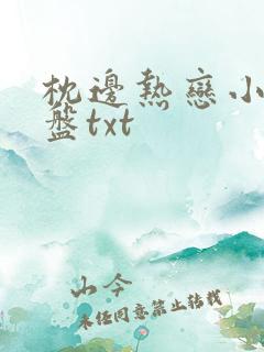 枕边热恋小说网盘txt