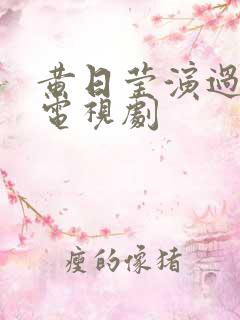 黄日莹演过那些电视剧