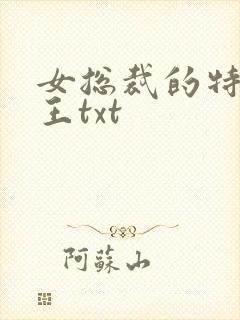 女总裁的特战兵王txt