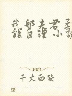 我那夫君柔弱不能自理 小说