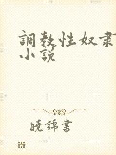 调教性奴隶女m小说