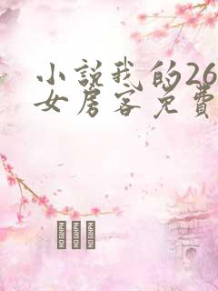 小说我的26岁女房客免费阅读