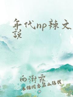 年代np辣文小说