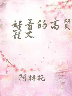 好看的高质量甜宠文