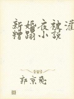 新婚夜被灌醉强糟蹋小说