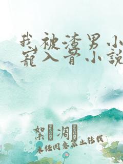 我被渣男小叔狂宠入骨小说全文阅读