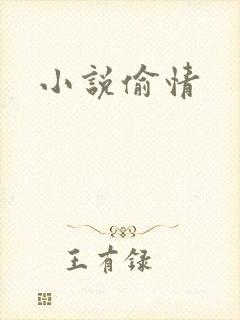 小说偷情
