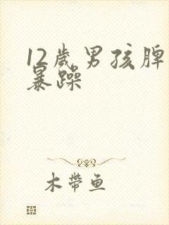 12岁男孩脾气暴躁