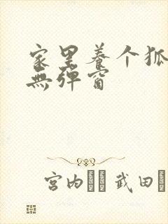 家里养个狐狸精无弹窗