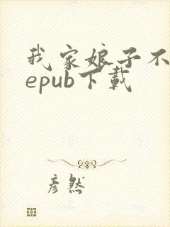 我家娘子不对劲epub下载