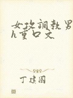 女攻调教男受高h重口文