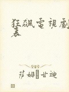 狂飙电视剧演员表