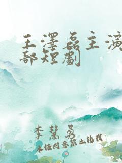 王泽磊主演的全部短剧