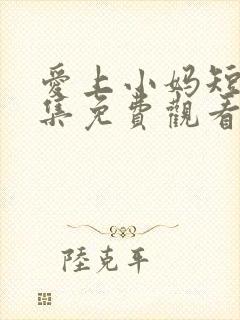 爱上小妈短剧全集免费观看高清