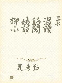 柳姨的温柔无心小说阅读