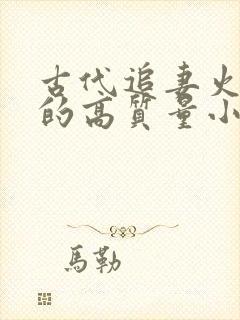 古代追妻火葬场的高质量小说