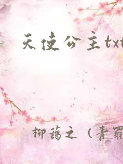 天使公主txt