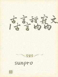 古言甜宠文1v1古言肉肉