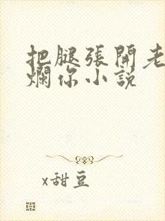 把腿张开老子臊烂你小说