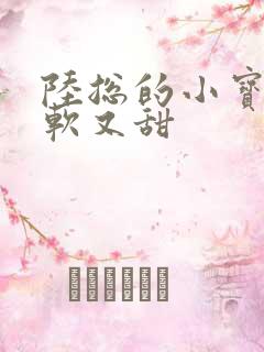 陆总的小宝贝又软又甜