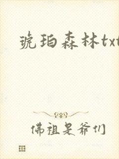 琥珀森林txt