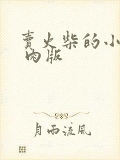 卖火柴的小男孩 肉版