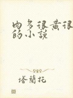 肉多很黄很细致的小说