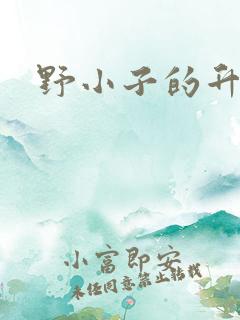 野小子的升官路