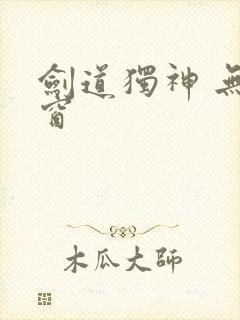 剑道独神 无弹窗