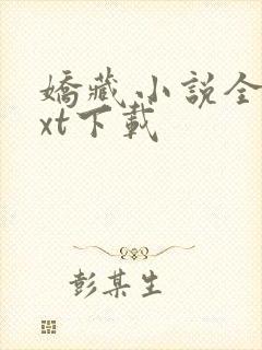 娇藏小说全文txt下载