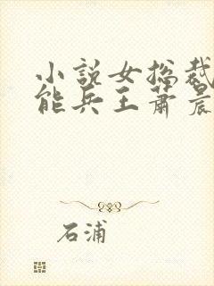 小说女总裁的全能兵王萧晨免费全本阅读