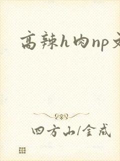高辣h肉np文
