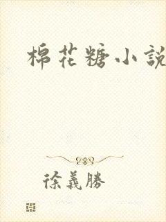 棉花糖小说下载