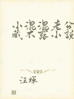 小混混老公竟深藏不露小说