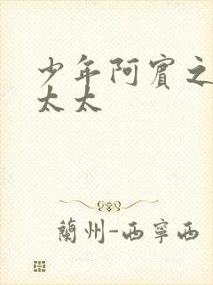 少年阿宾之房东太太