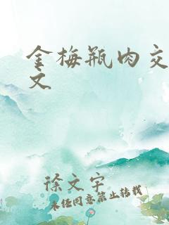 金梅瓶肉交白话文