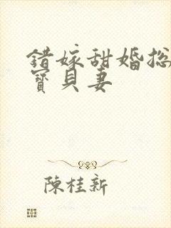 错嫁甜婚总裁的宝贝妻