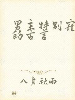 男主特别宠女主的古言