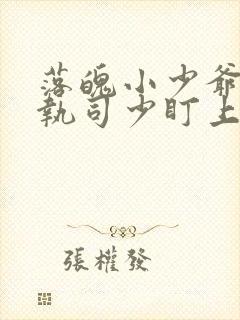 落魄小少爷被偏执司少盯上免费阅读全文