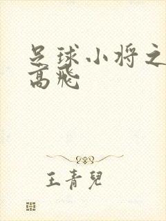 足球小将之展翅高飞