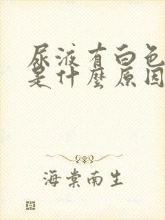 尿液有白色液体是什么原因