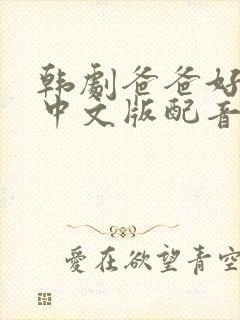 韩剧爸爸好奇怪中文版配音