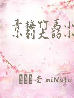 青梅竹马小说从小到大的小说